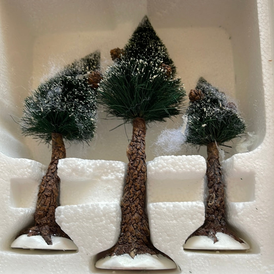 Pinewood Trees, Small